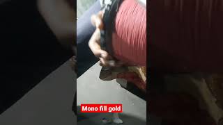 mono fill gold  best manja  kite flying lohri  2023  anpad londe [upl. by Olegnaleahcim432]