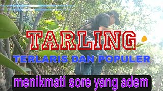 FULL ALBUM TARLING TERDEPAN [upl. by Derej]