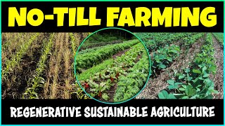 Regenerative Sustainable Agriculture NoTill Farming Explained [upl. by Sakovich]