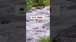 nature naturesoundsforsleeprelax birdsandwaterfallsounds relaxingsounds mountainssleepsounds [upl. by Erminna]