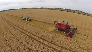 Case Axial Flow harvesting wheat 2017 [upl. by Oratnek612]