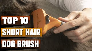 Best Brush For Short Hair Dog In 2024  Top 10 Brush For Short Hair Dogs Review [upl. by Nairehs507]