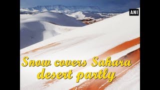 Snow covers Sahara desert partly  ANI News [upl. by Leeth805]