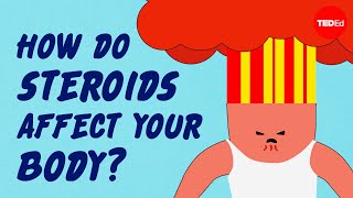 How do steroids affect your muscles— and the rest of your body  Anees Bahji [upl. by Ahsaret]