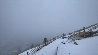 Missoulas M Trail Accessible and fun hike even in the winter [upl. by Dunham68]