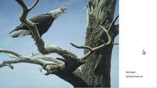 Robert Bateman the greatest nature painter ever [upl. by Tracay]