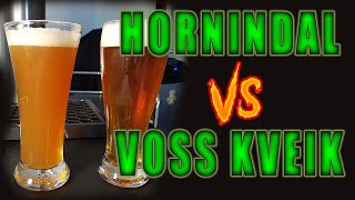 Voss vs Hornindal split batch Experiment  Competition Hornindal WINNER [upl. by Grondin]