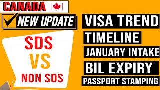 SDS VS Non SDS PPR Update  Visa Trend  Jan Intake  PPR Timeline  Study Visa Update  IRCC Update [upl. by Asselim]