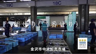 金沢の水産業食育動画 ～朝せり（二番せり）～ [upl. by Germain]