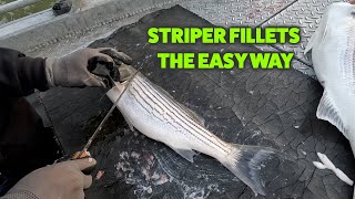 How I Fillet Striped Bass The Easy Way [upl. by Joy]