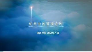 佛音梵曲 轮回中的菩提制约仁泽菩提宗师净土佛歌 [upl. by Lraep]