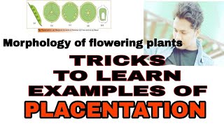 Tricks  Easy way to learn the examples of placentationMorphology of flowering plants [upl. by Einahpts]