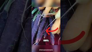 carrots used to be purple shorts carrot food [upl. by Halley]