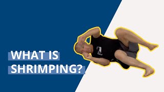 Brazilian Jiu Jitsu Basics What is Shrimping [upl. by Ahsert]