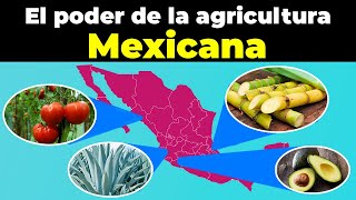 El poder de la agricultura de los 32 Estados Mexicanos [upl. by Hayott24]