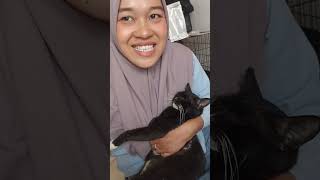 Pas beleki cat anakkucinglucuimutimut catlover [upl. by Adnovahs221]