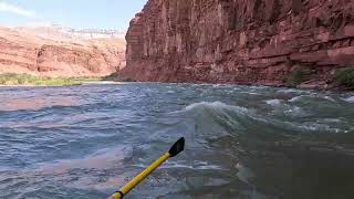 Grand Canyon 2024 07 15 Day 6d  Unkar Creek Rapid [upl. by Autum911]