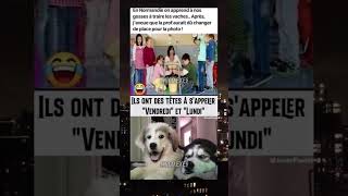 La Normandie😭meme drole viralvideo [upl. by Amalbena116]