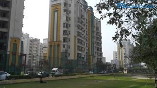 NRI City GH 01  NRI City  Greater Noida  S13072 [upl. by Gwynne]