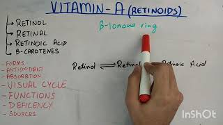 biochem of vitamin A part 1 of 2 [upl. by Kielty820]