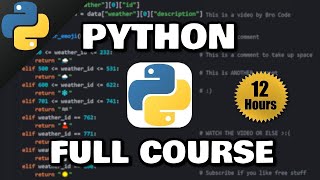 Python Full Course for free 🐍 2024 [upl. by Anaujait]