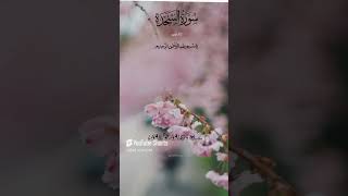 quran shortvideo urdu translation [upl. by Esilanna]