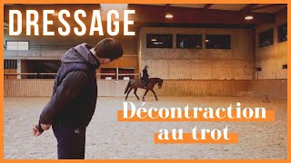 Dressage  obtenir plus de décontraction au trot [upl. by Libbna]