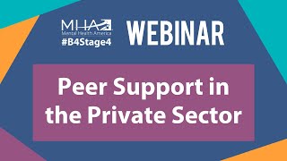 WEBINAR Peer Support in the Private Sector Careers in Private Practice [upl. by Eadas]