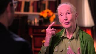 Dr Jane Goodall Interview Last Week Tonight with John Oliver HBO [upl. by Joanna]