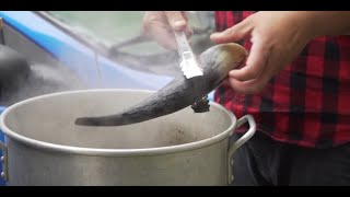 Carving Horn Spoons Step 1 Soaking the Horn [upl. by Samohtnhoj]