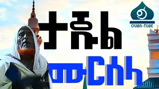 ታጁል ሙርሰላ  TAJUL MURSELA  BEST MENZUMA  QubaTube [upl. by Drofliw]