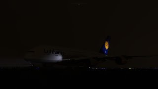 MSFS  Vatsim  Full Flight Training Passenger Flights Part 3  DLH8FW Super  LH117  EDDMEDDF [upl. by Derriey]