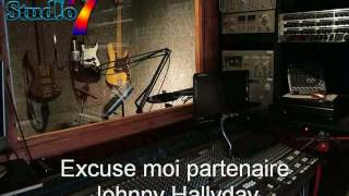 excuse moi partenaire cover Johnny Hallyday [upl. by Dnomse]