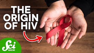 How HIV First Started in Humans [upl. by Janka]