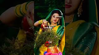 Tulsi Vivah ki shubkamnayevideo tulsi shorts [upl. by Cornwell]