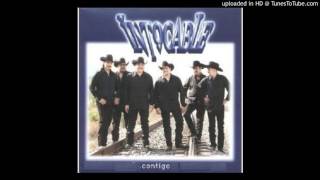 Intocable  Contigo He Fallado 1999 [upl. by Iredale306]