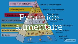 Résumé cours aliments nutriments biomolécules [upl. by Ymmat]