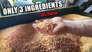 EASY PIG FEED MIX  Only 3 Ingredients 14 Protein [upl. by Orrocos302]