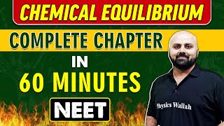 IONIC EQUILIBRIUM in 60 minutes  Complete Chapter for NEET [upl. by Trefler117]