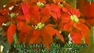 Amlings Flowerland  quotThe Joy of Christmasquot Commercial 1979 [upl. by Darda]