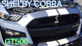 2022 Shelby Cobra GT500 Heritage Edition Cars amp Coffee Eastons Beach 1st beach Newport RI 2024 [upl. by Acillegna]