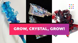 The TOP 7 crystalgrowing experiments [upl. by Erdah]