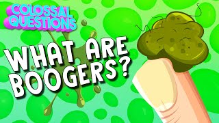 What Are Boogers  COLOSSAL QUESTIONS [upl. by Yatnahs196]