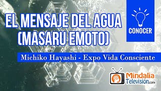 El mensaje del agua Masaru Emoto Entrevista a Michiko Hayashi  Expo Vida Consciente [upl. by Meares]