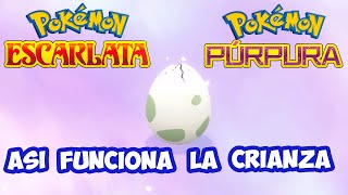 🥚 ASÍ FUNCIONA la CRIANZA en POKÉMON ESCARLATA y PÚRPURA  HUEVOS y PÍCNIC [upl. by Ahselrac]