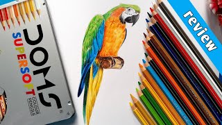 Review Doms Supersoft Colour Pencil  parrot Colour drawing [upl. by Craner342]