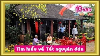 Tìm hiểu về Tết nguyên đán 10 vạn câu hỏi vì sao [upl. by Embry419]