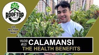 CALAMANSI The Health Benefits [upl. by Ailat5]