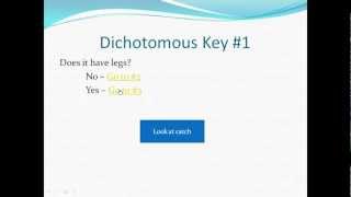 How to use a dichotomous key [upl. by Nats]