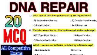 DNA Repair Mechanism MCQ  Molecular Biology Most Important Questions And Answers [upl. by Gilead]